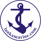 Logo Middle
