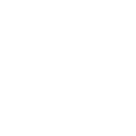 Logo Outer
